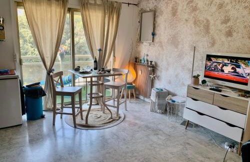Luxurious Studio in Cannes 450m from sea with Terrace and Air Conditioning and private Parking - Foto 10