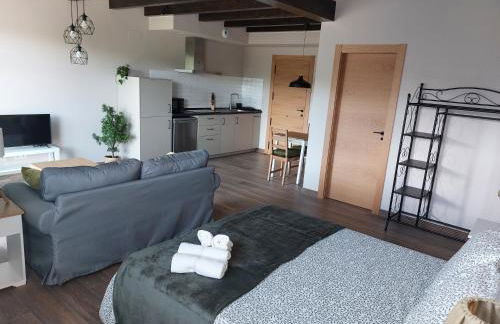 Apartamentos Casa Reconco - Foto 16