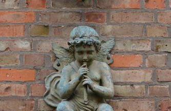 Himmelreich Rügen - Foto 71