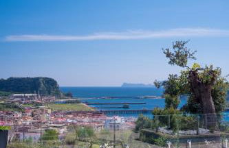 Golden Garden - Foto 8