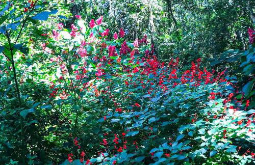 Loft Aconchegante em Meio à Natureza - Foto 57