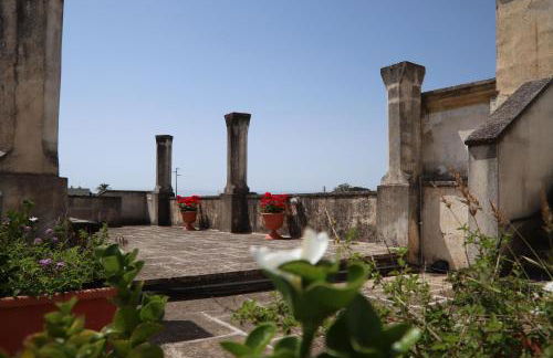 Azienda Agricola Francesca Stajano - Foto 90