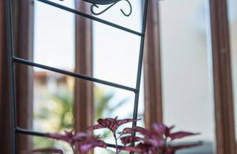 House Kostas on the beach - Foto 62