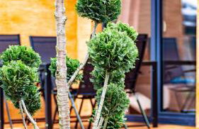 OSADA WISEŁKA - Foto 19