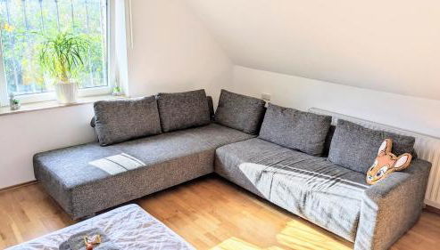 Moderne Einliegerwohnung am Wald - Foto 4