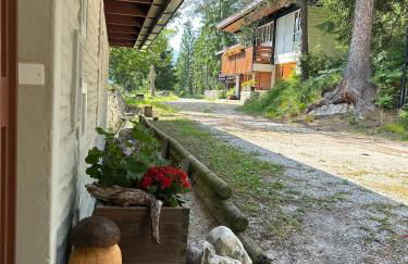 Ca'Mugo, a chalet in the magic woods, near Cortina - Foto 44
