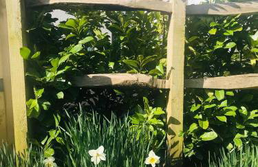 Bell Lodge - Foto 54