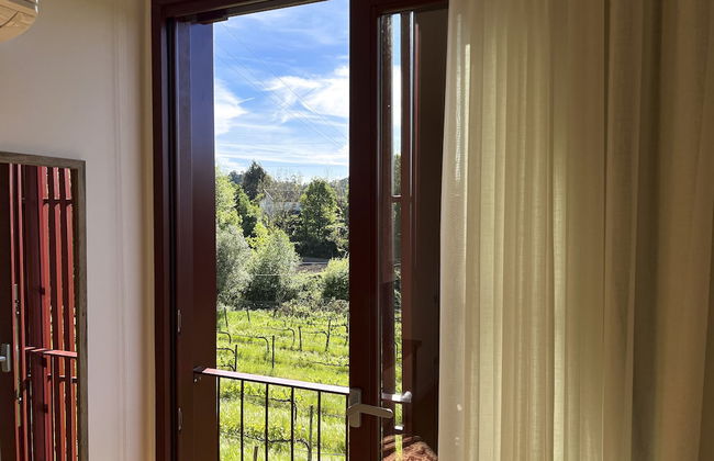 Quinta de Chousas - Braga - Agrotourism - Photo 21