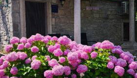 Rustical Apartment - Foto 3, Garden, Garden view