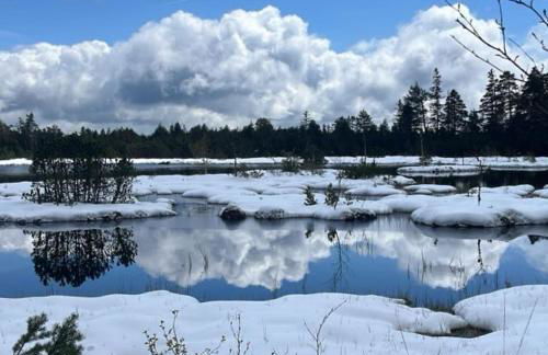 Appartement Herrlich - Foto 55