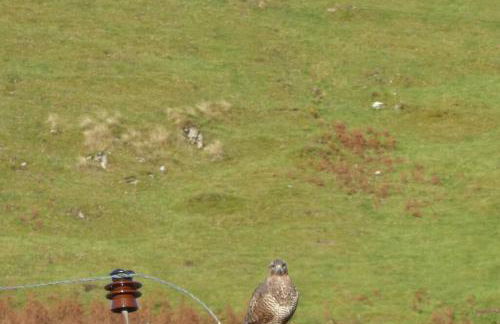 The Causeway - Foto 32