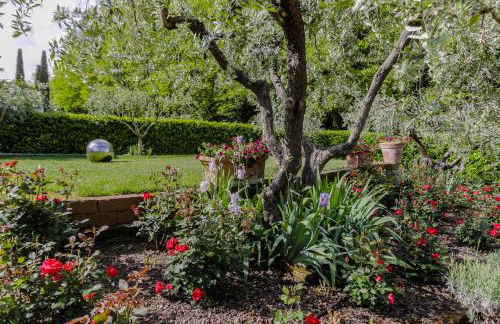 Villa Lolù - Photo 49