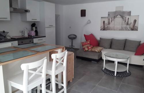 LOFT CENTRE VILLE GANGES - Foto 10