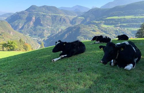 Villa Silvia - Photo 73