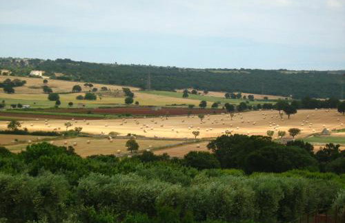 Masseria Torricella - Foto 84
