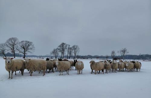 Gemütliche Wohnung mit Blick in die Wiesen - Foto 28