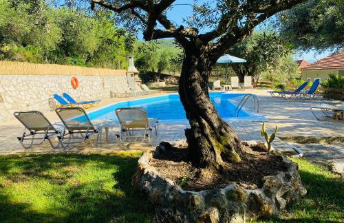 Olive Grove Poolside Apartments - Foto 38