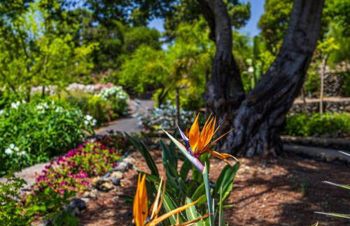 Casa Mi Arcadia - Foto 38