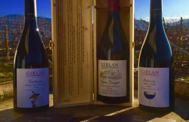 Lochererhof - Foto 71