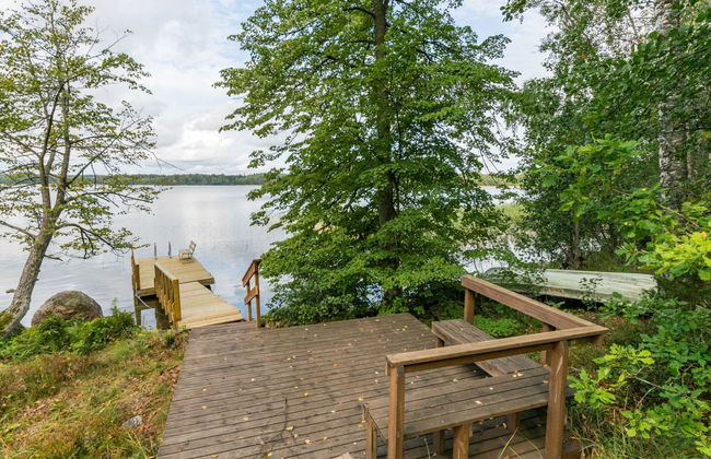 Metsä-iivari - Foto 4