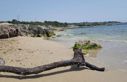 Appartamenti Baia Azzurra - Foto 78