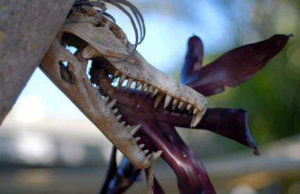 BeachPoint Cottages - Foto 45