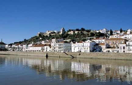 Casa Palma w pool - Scandi decor -Portuguese feel - Foto 28