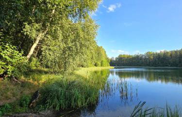 Bosko Siemiany - bania, jacuzzi, kino plenerowe, ognisko, rowery, SUP - Foto 23