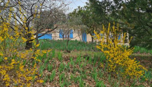 Villa Juliette - Foto 1