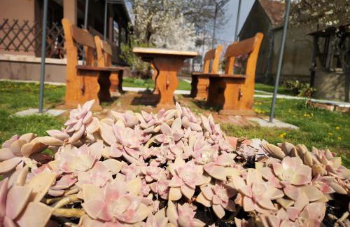 Turul -Kuća za odmor- - Foto 39