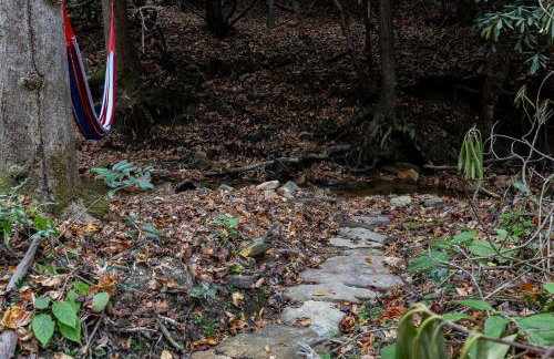 Creekside Guest House Mountains & Relax to the soothing sound of the creek - Foto 38