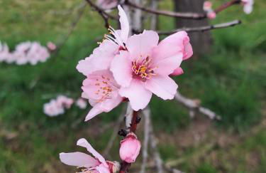 Haus Mittendrin - Foto 28
