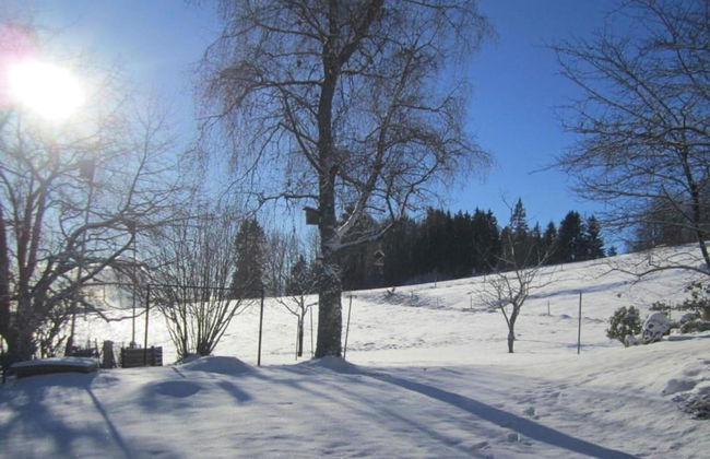 Apartment in Dachsberg-urberg - Foto 39