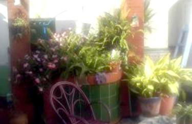 Charming House in Puente Mayorga + Sunny Terrace - Foto 6