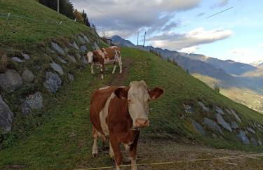 Ortnerhof - Photo 23