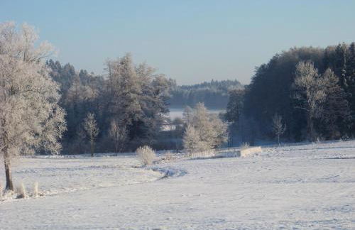 Ferienhaus Brunnenweiher - Foto 13
