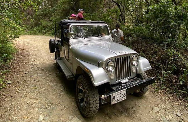 Excursion privée au sanctuaire de palmiers à cire de Tochecito - Photo 6
