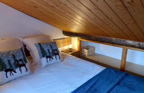 Chalet de montagne au cœur de Doucy - Foto 34