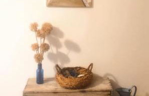 The Lake Cottage in Gascony France - Foto 27