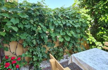 Villa Ružica - Photo 23