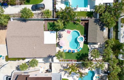 Angelfish (AMV) - Foto 41