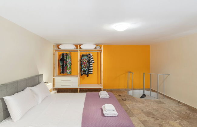 Dodonis BLD - Foto 15