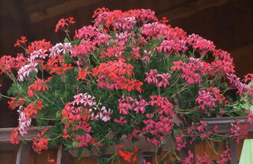 Gîte Les Grands Champs - Foto 44