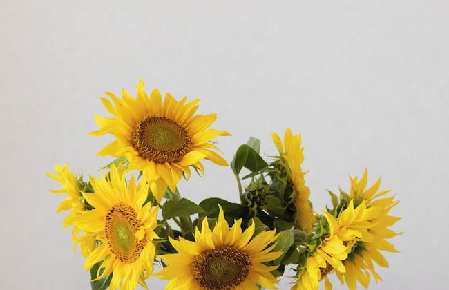 Bel Mare Apartments by Renters - Photo 20