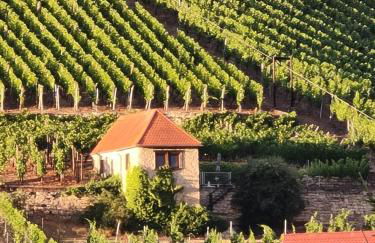 Ferienhaus Nißmitz No.32 - Foto 77