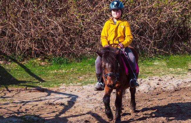 Meislahnhof Fehmarn - Foto 27