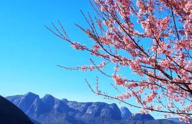 Temporada no Paraíso em Teresópolis - Foto 40