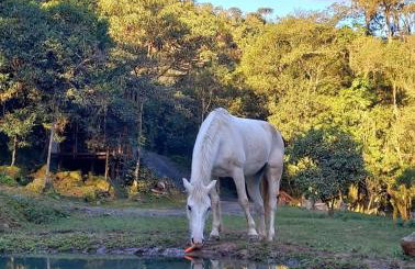 Cabanas do Rio - Photo 33