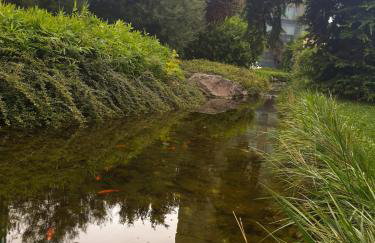 Mickey Mouse Supilova 24 - Foto 38