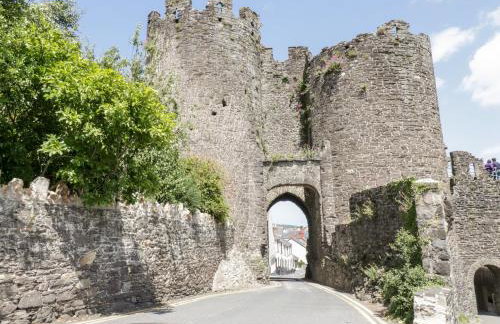 Gwern Borter Manor - Photo 52